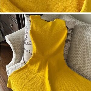 Eva Longoria Fit and Flare Dresses XS. Never Worn